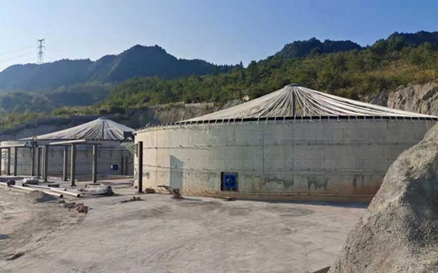 Large-scale Biomass Biogas Project