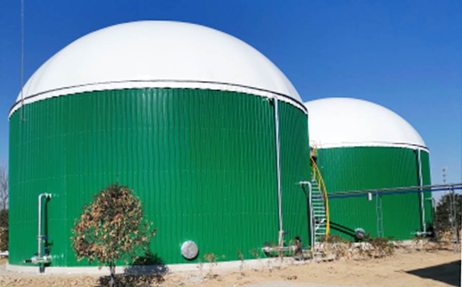 Pig Farm Manure Treatment