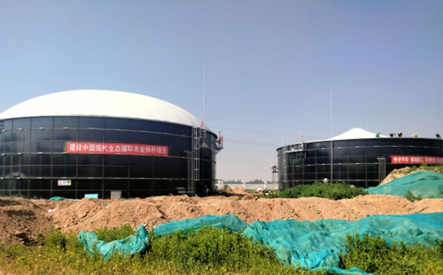 Large-scale Biomass Biogas Project