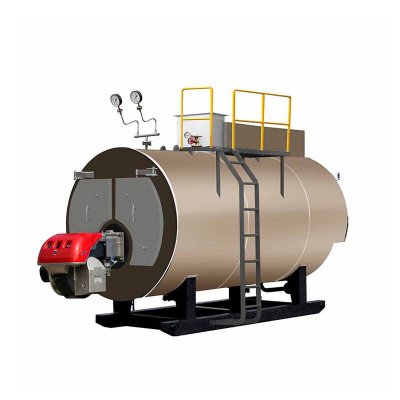 Biogas Boiler