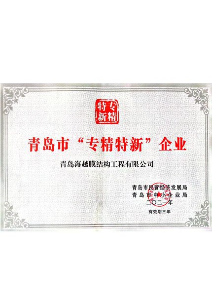 Qingdao Haiyue Specialized and New Certificate