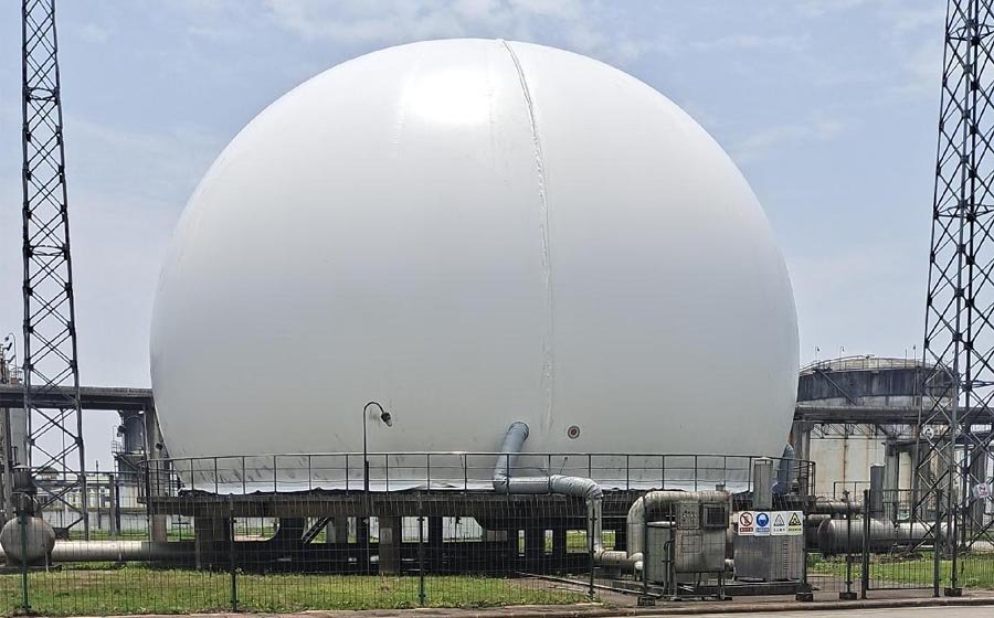 Outer Membrane Replacement