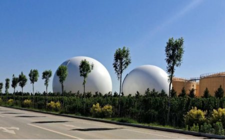 The Synergistic Development of Livestock Farming and Biogas Engineering