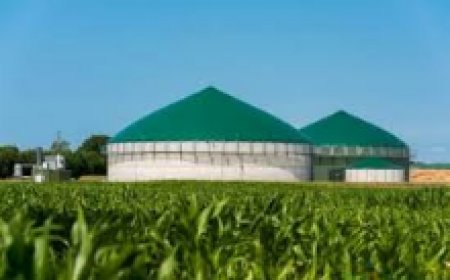Unlocking the Energy Treasury: The Broad Prospects of Biogas Applications