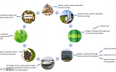 Utilization Statusand Prospect of Anaerobic Digestion Residueof Food Waste 3