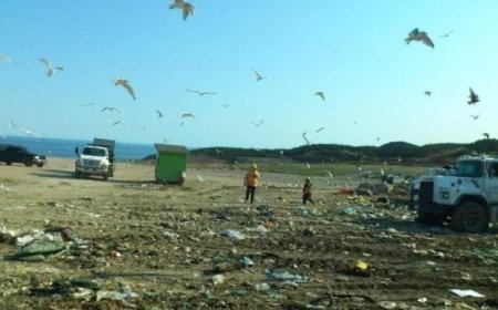 The biogas holder project for landfill