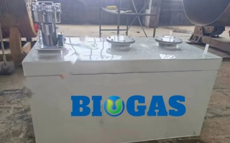 Small scale biogas system suitable for kitchen waste treatment