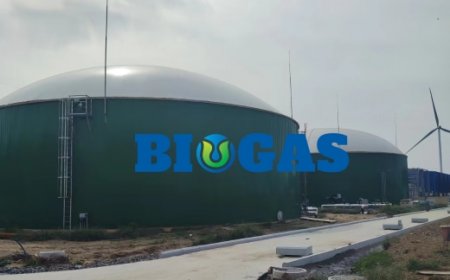 Glass Lined Steel Biogas Plant Project Holding Tank With Double Membrane Gas Holder