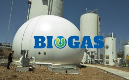 Advantages of Using Double Membrane Gas Holders as Biogas Storage Equipment