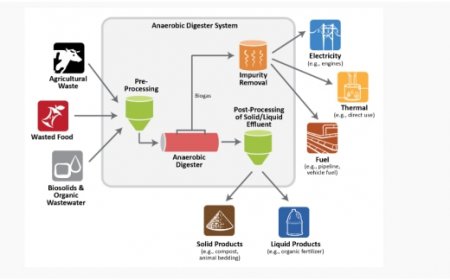 Exploring the mysteries of anaerobic fermentation: new approaches to sustainable energy and waste utilization
