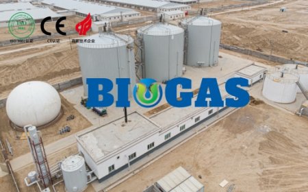 Promoting biogas utilization is a major global trend in the development of clean energy