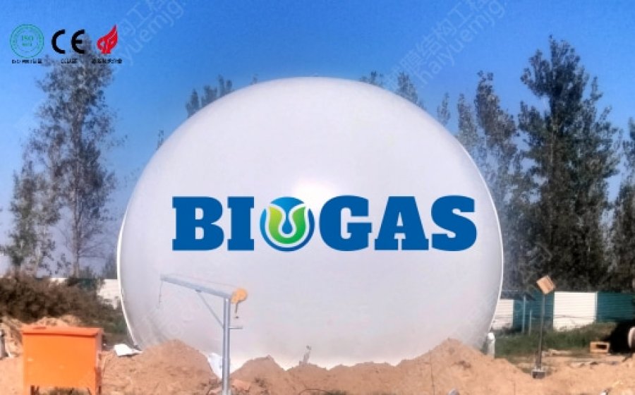 200m ³ pig farm biogas project--double membrane biogas holder