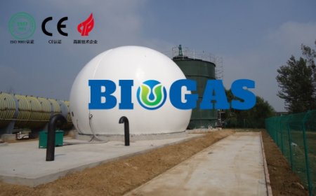 Common Issues in Double Membrane Gas Holders 2