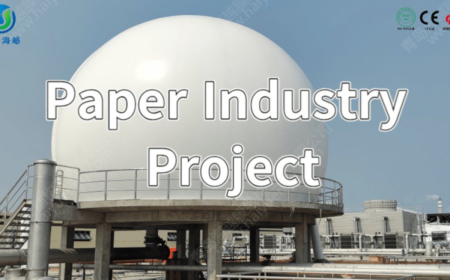 Paper Industry 600 m³ gas holder: Suzhou City, Anhui Province