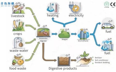 Anaerobic fermentation: usable raw materials