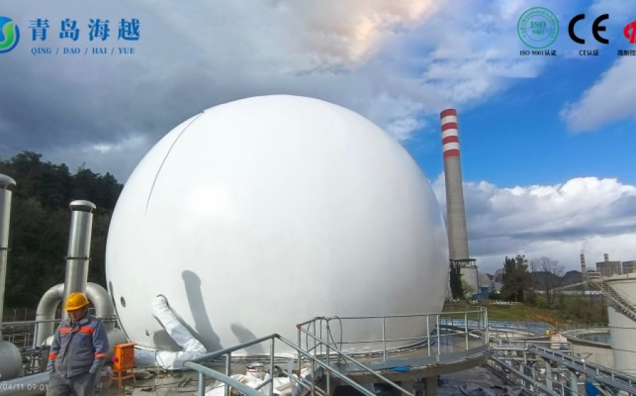 Foreign biogas project: Türkiye paper project