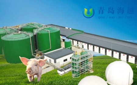 Pioneering a New Model of Transparent Ecological Farming and Anaerobic Digestion Energy Recycling