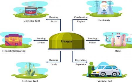 The benefits of biogas in daily life