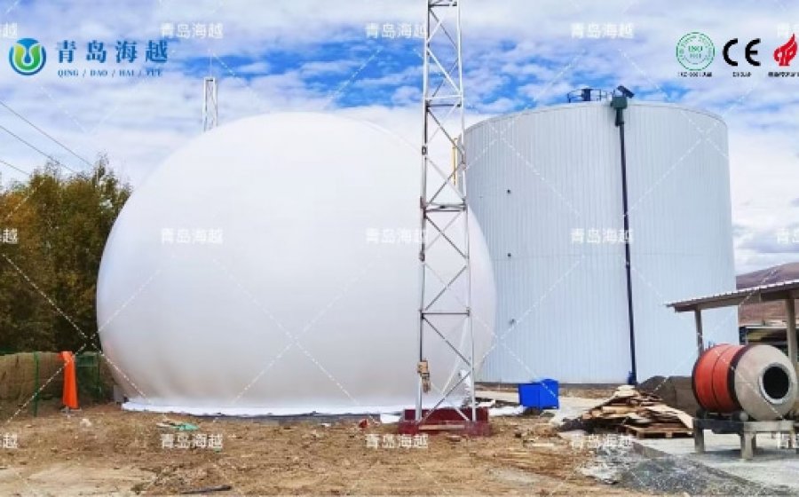 700m³ biogas holder