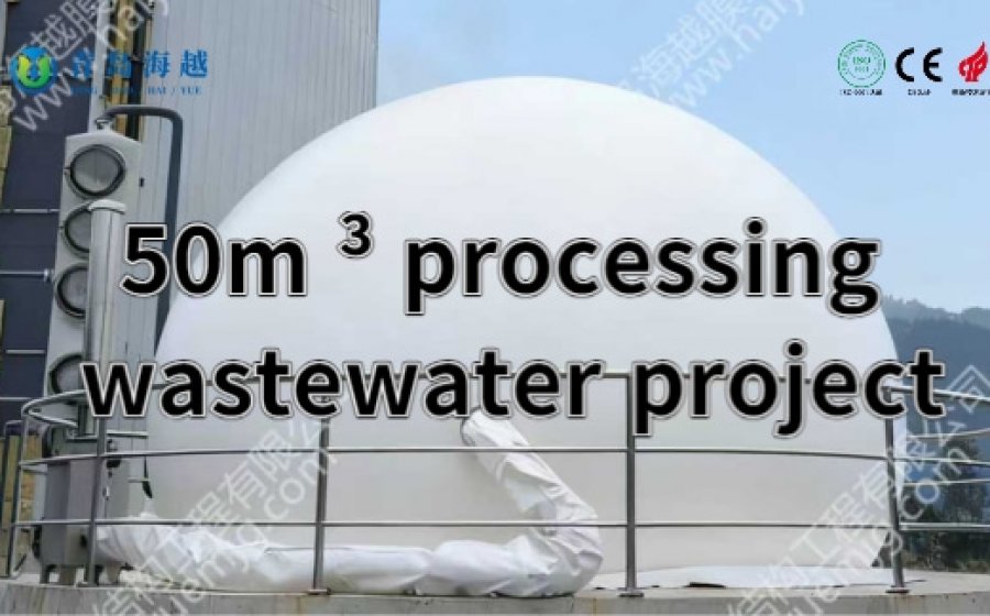 50m³ Anaerobic System Supporting Green Production