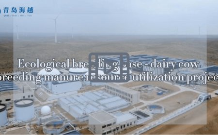 Ecological breeding base—dairy cow breeding manure resource utilization project